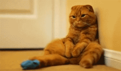 Βαριεμαι !.gif