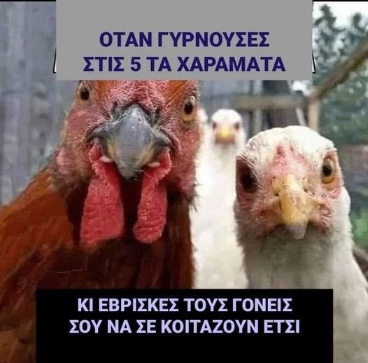 xa xa xa xa ......jpg