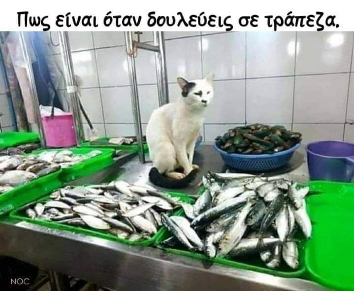 xa xa xa xa ......jpg