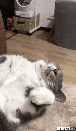 xa xa xa xa .......gif