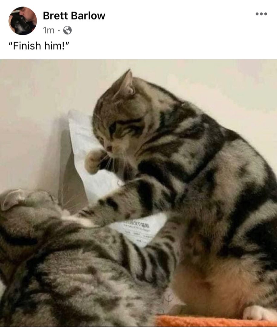 xa xa xa  xa .......jpg