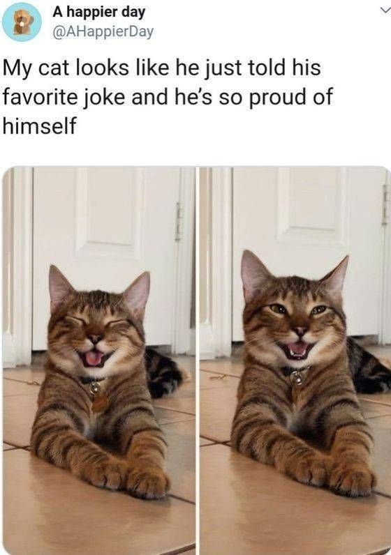 xa xa xa xa .......jpg