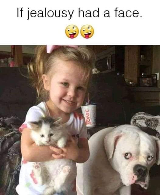 FB_IMG_1702970303278.jpg