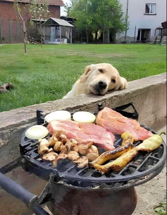 xa xa xa xa ......jpg