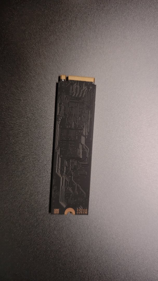 1000029163.jpg