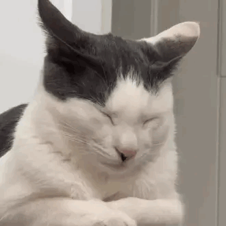 xa xa xa xa ......gif