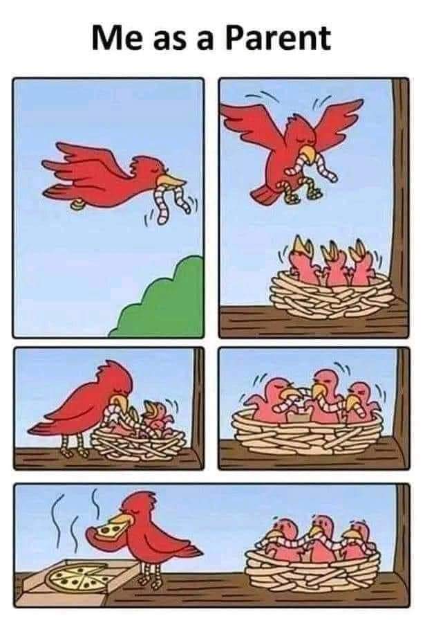 FB_IMG_1706259192473.jpg