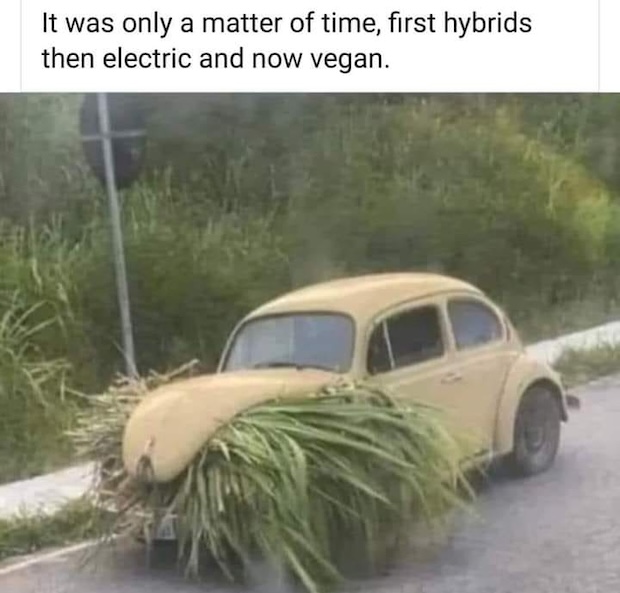 420664553_1433931914208578_5888335706150123694_n.jpg