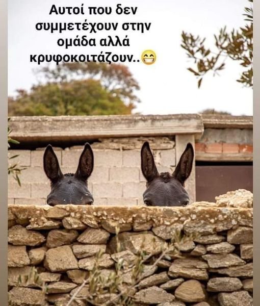 xa xa xa xa.jpg