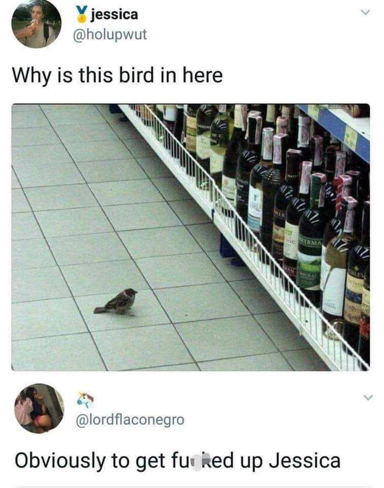 xa xa xa xa ......jpg