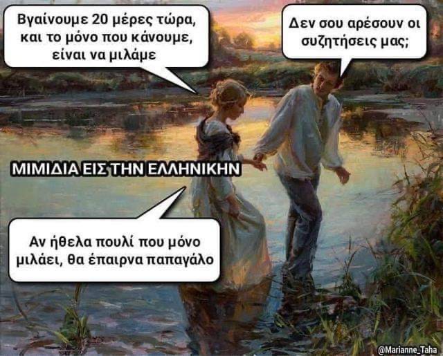 IMG_2961.jpeg