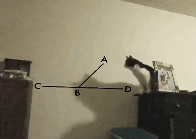 xa xa xa xa.......gif