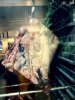 IMG_2420.jpeg