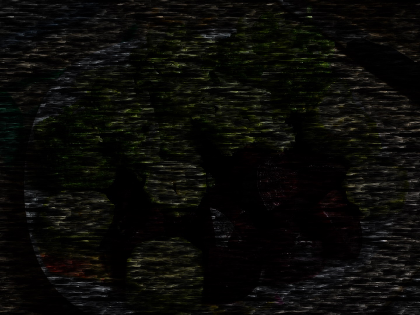 451069_297910966ab0d1b94712d64609dd4d22.jpg