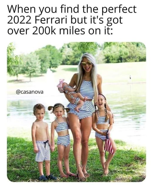 445002990_314389361711567_6715688135087360230_n.jpg