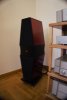 DSC02203.jpg