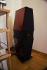 DSC02204.jpg