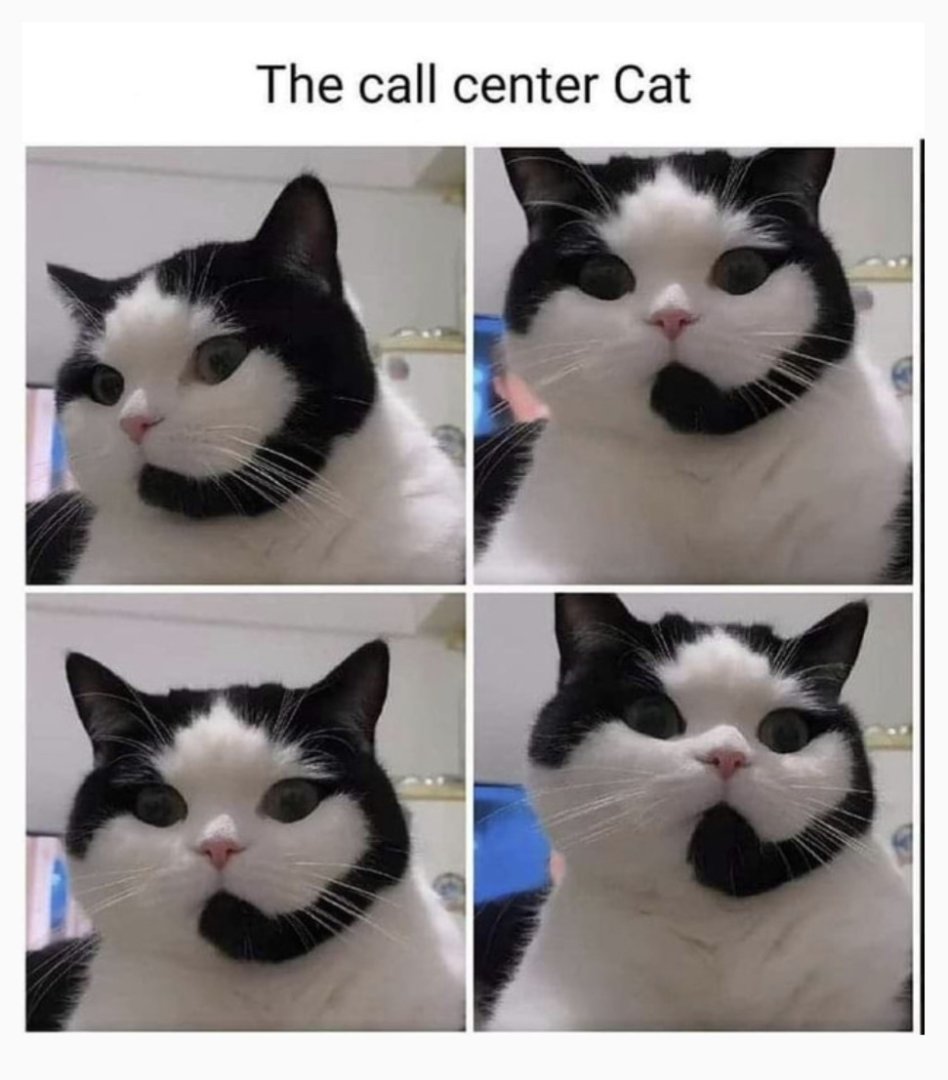 1000005256.jpg