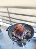 IMG_20240707_111814.jpg