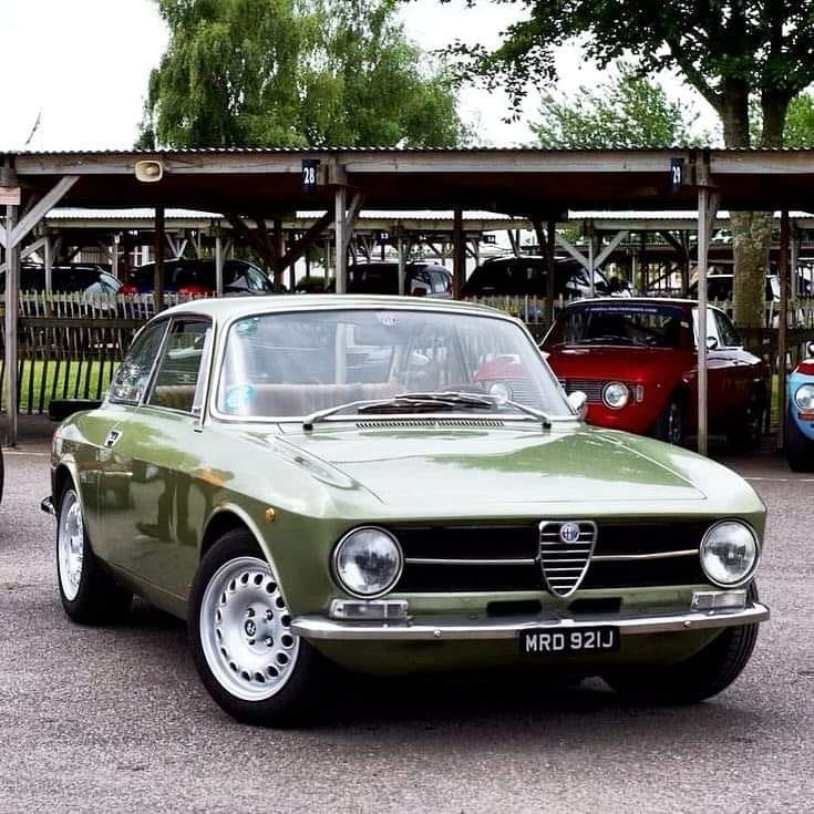 Alfa Romeo Giulia GT.jpg