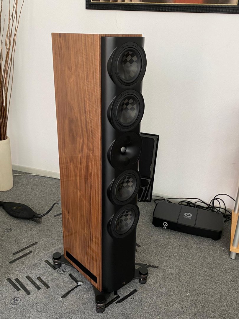 Perlisten S7t Right profile.jpeg