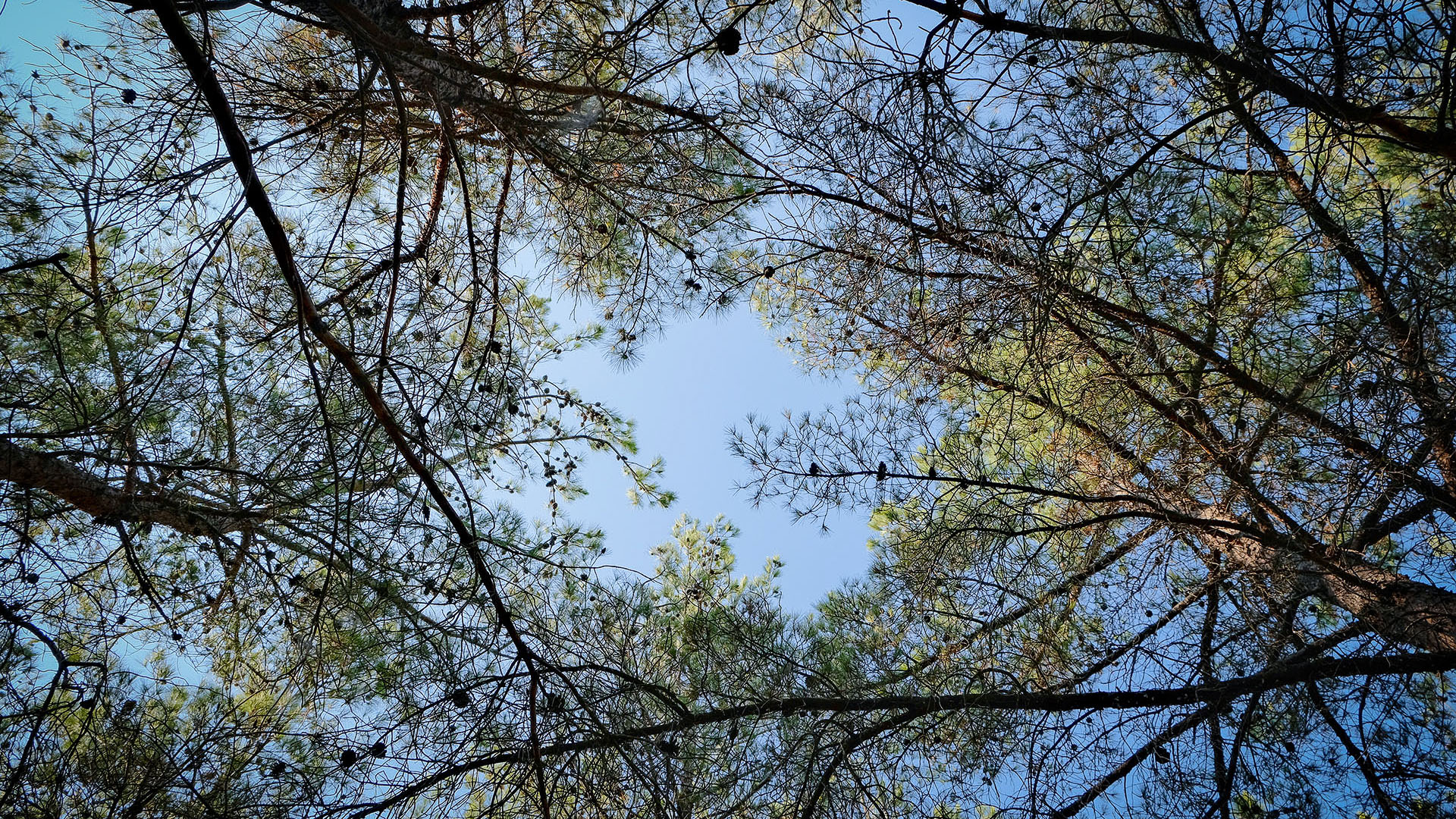 DSCF0067-2.jpg
