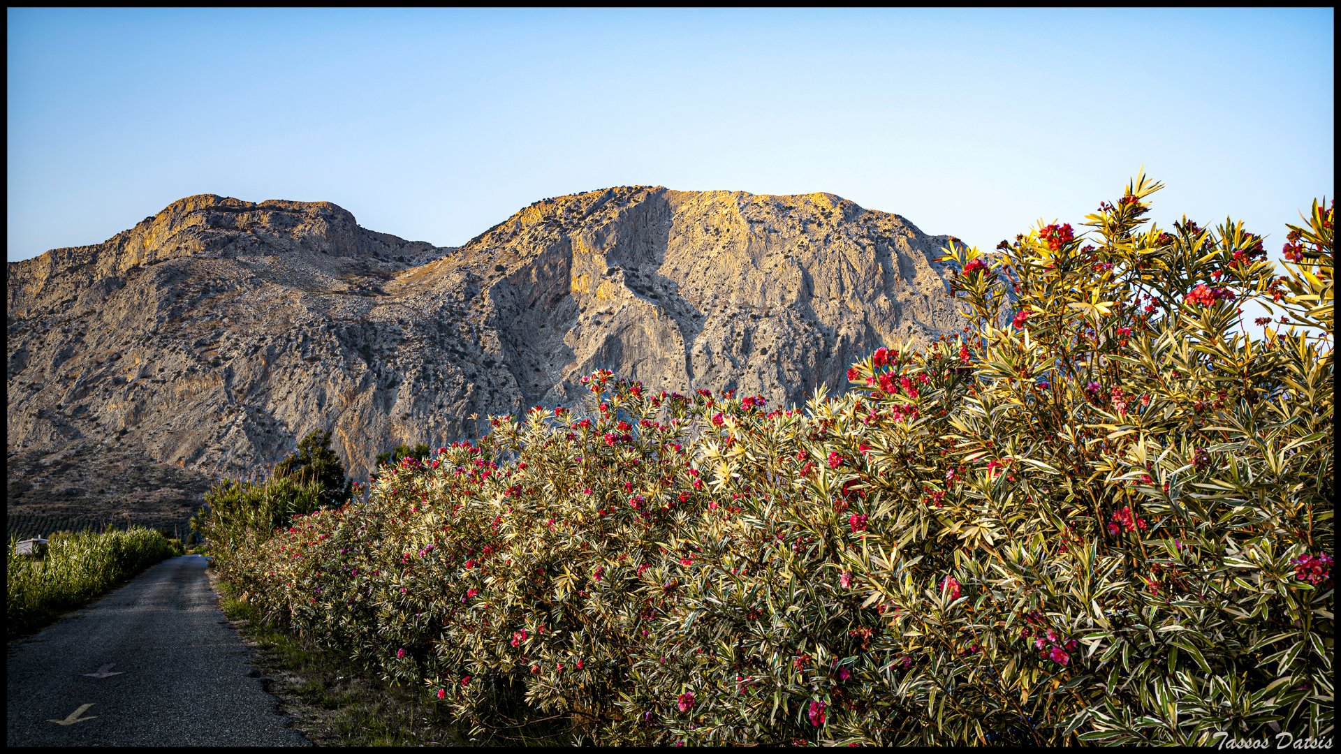_DSC3558.jpg