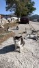 IMG_5722.jpeg