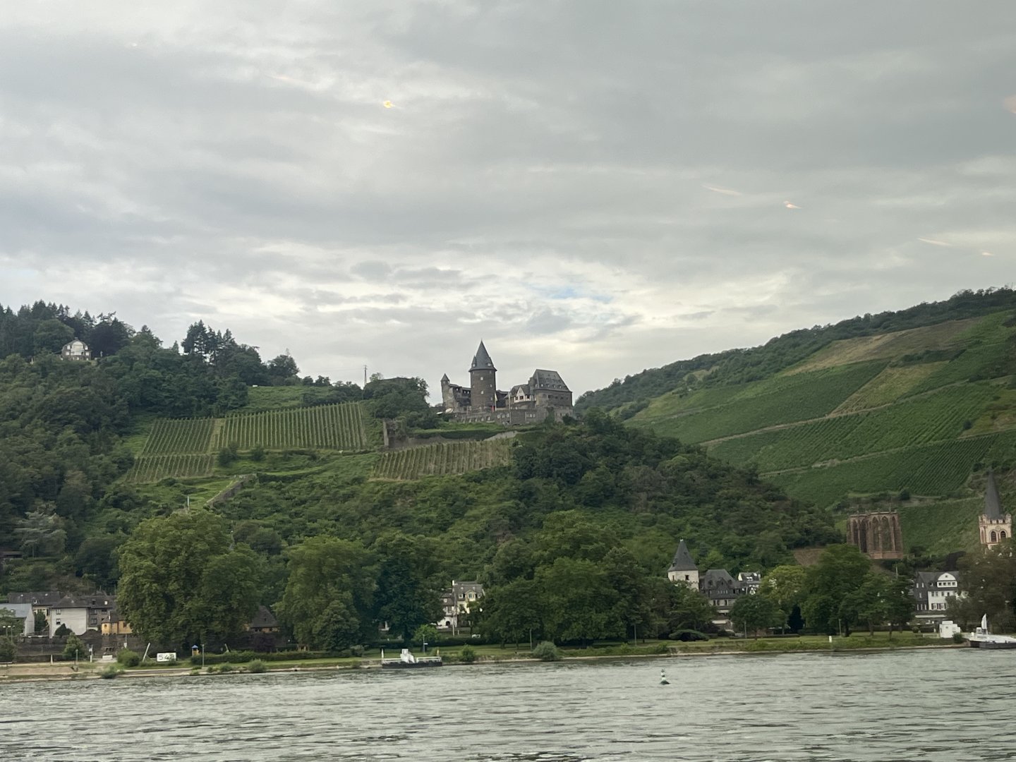 IMG_2958.jpeg