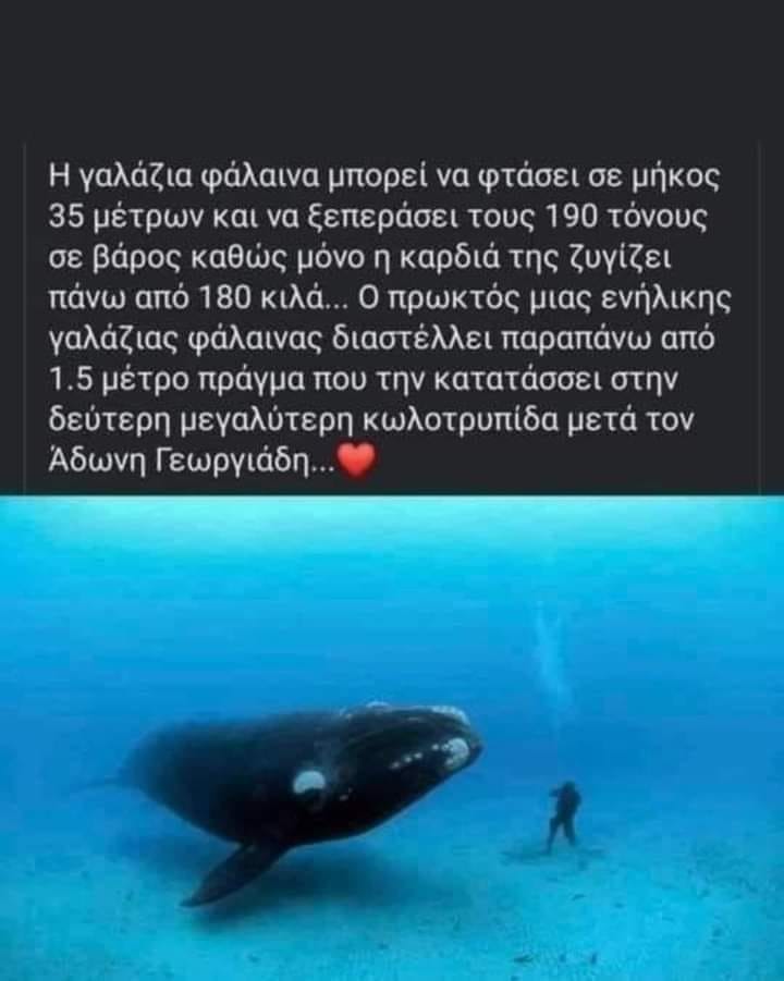 1722433310336.jpeg