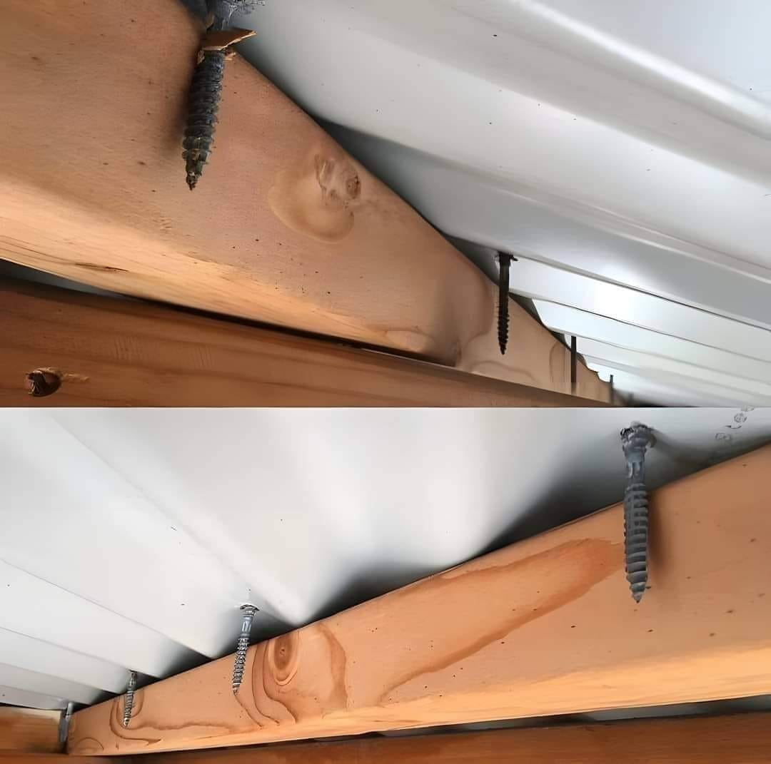 roof.jpg
