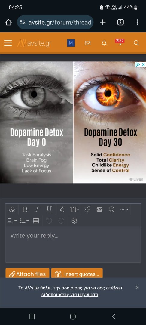 Screenshot_20240821_042501_Chrome.jpg