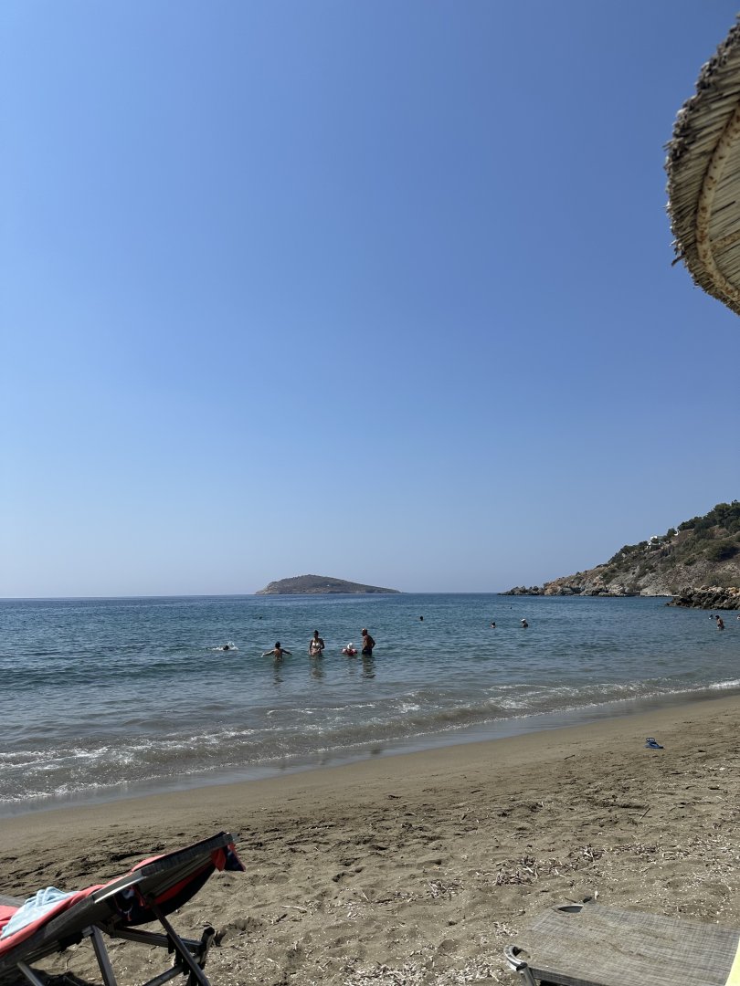 IMG_7353.jpeg