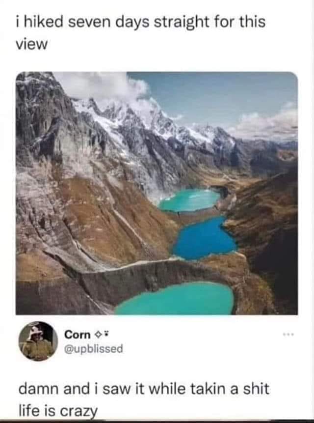 456031118_1668756440588641_3656380220208242451_n.jpg