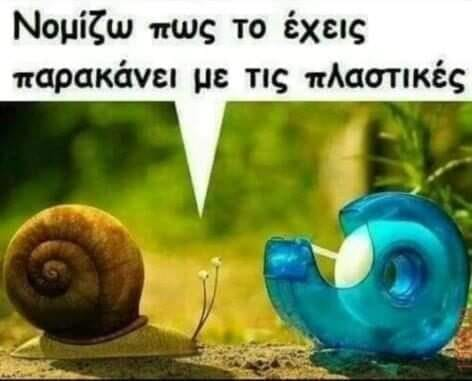 1724973713947.png