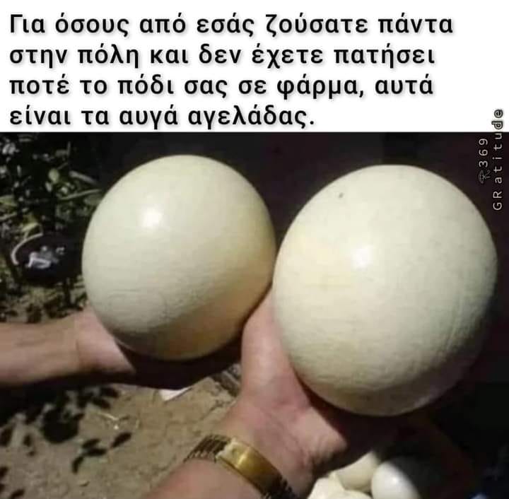 457360480_8075404229195279_3343705799328765444_n.jpg