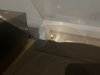 IMG_3356.jpeg