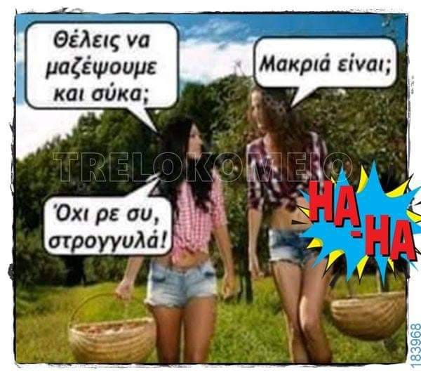 1725404786290.png