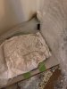 IMG_7412.jpeg