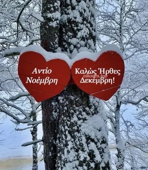 IMG_3851.jpeg