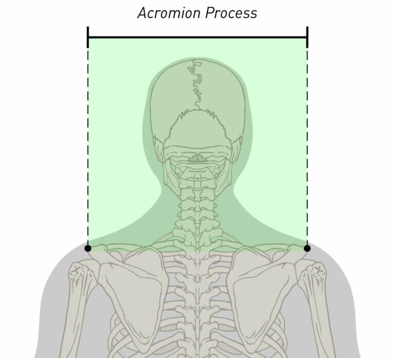 ENVE_AcromionProcess-768x696.jpg