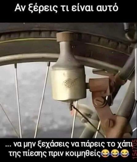 1000010240.jpg