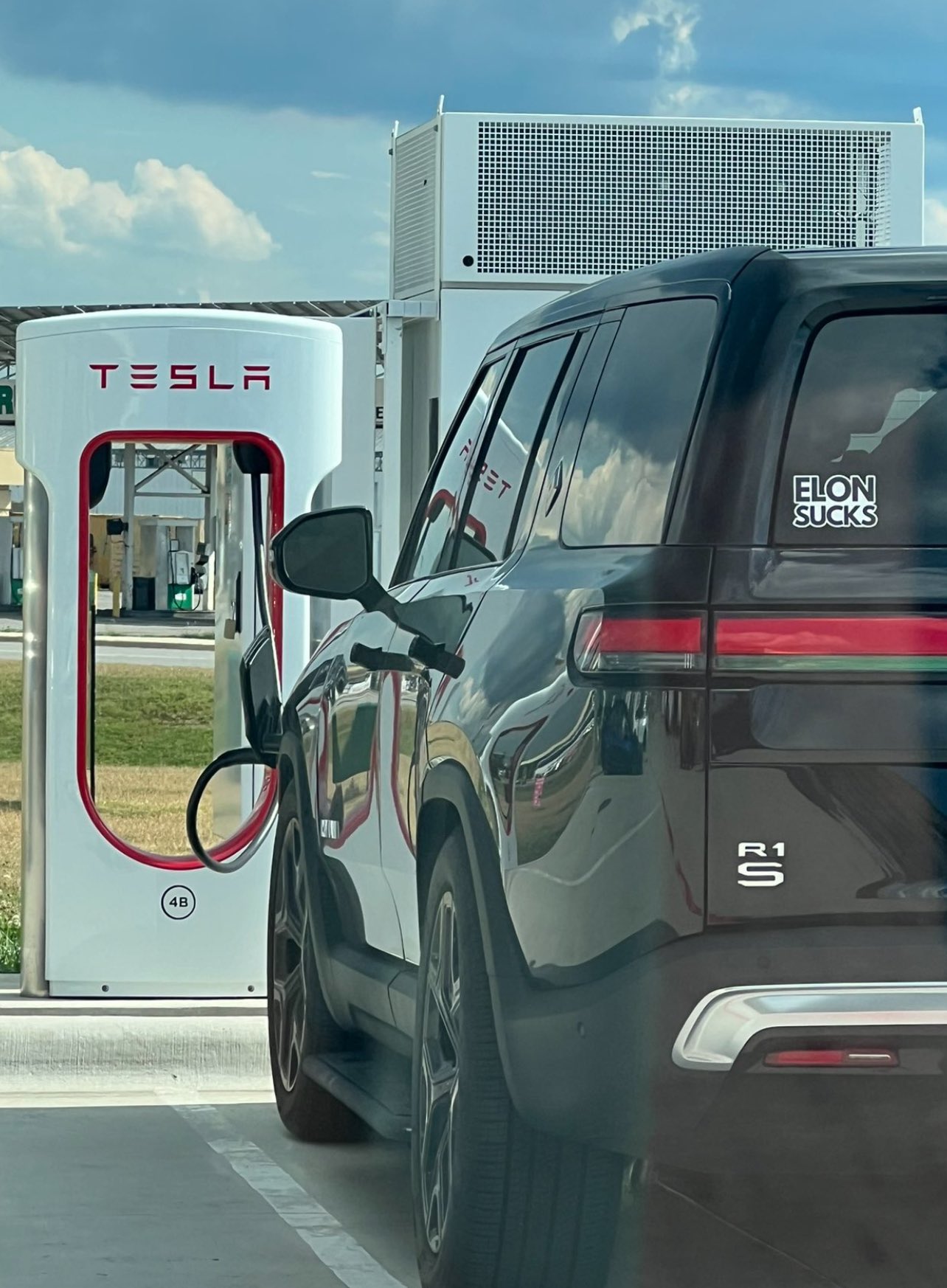 elonsucks.jpg