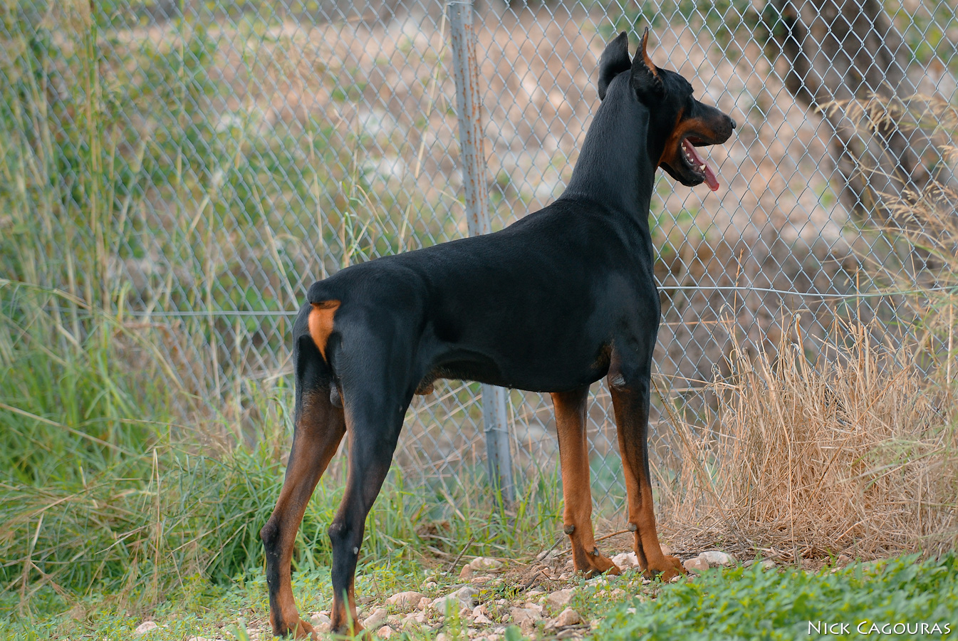 DSC_1757.jpg