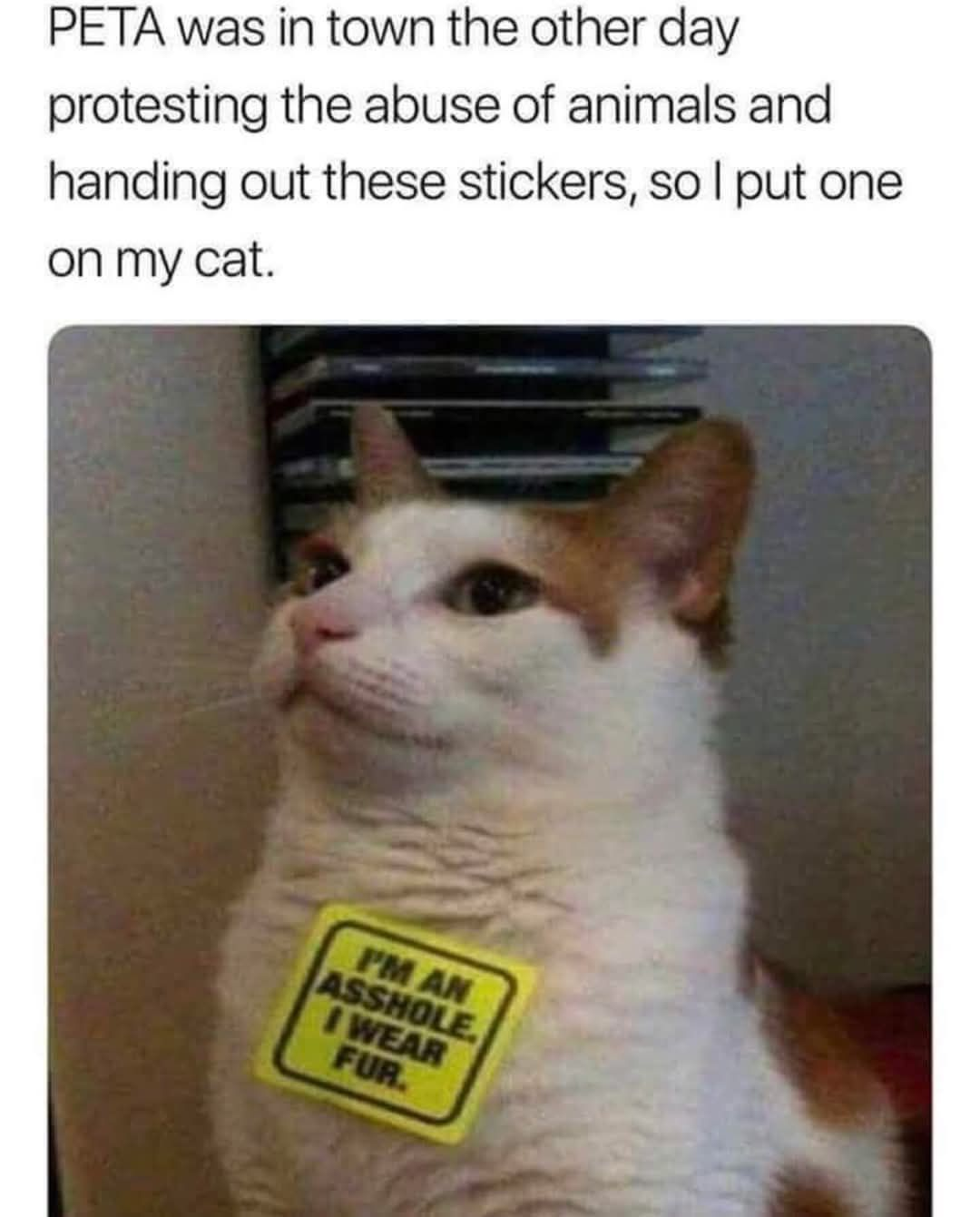 1743286843124.png