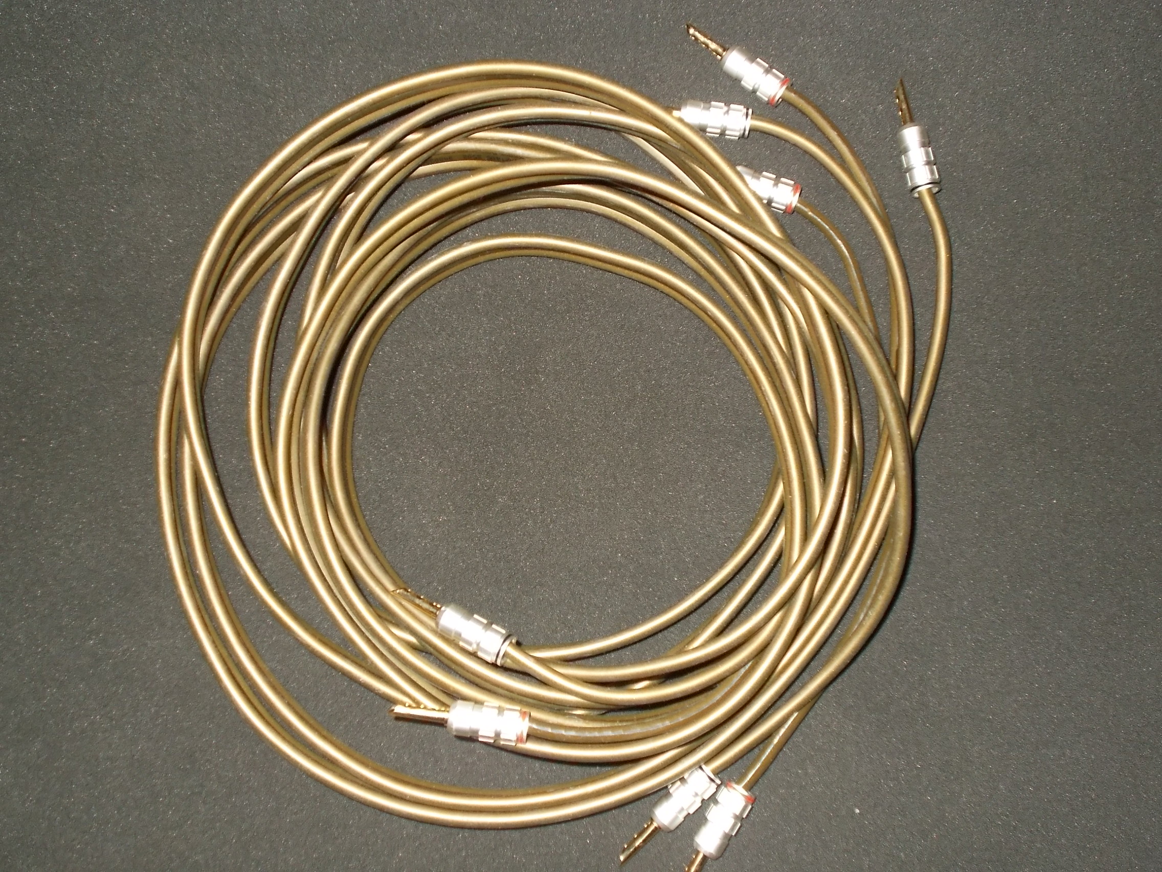 DSCN1065.JPG