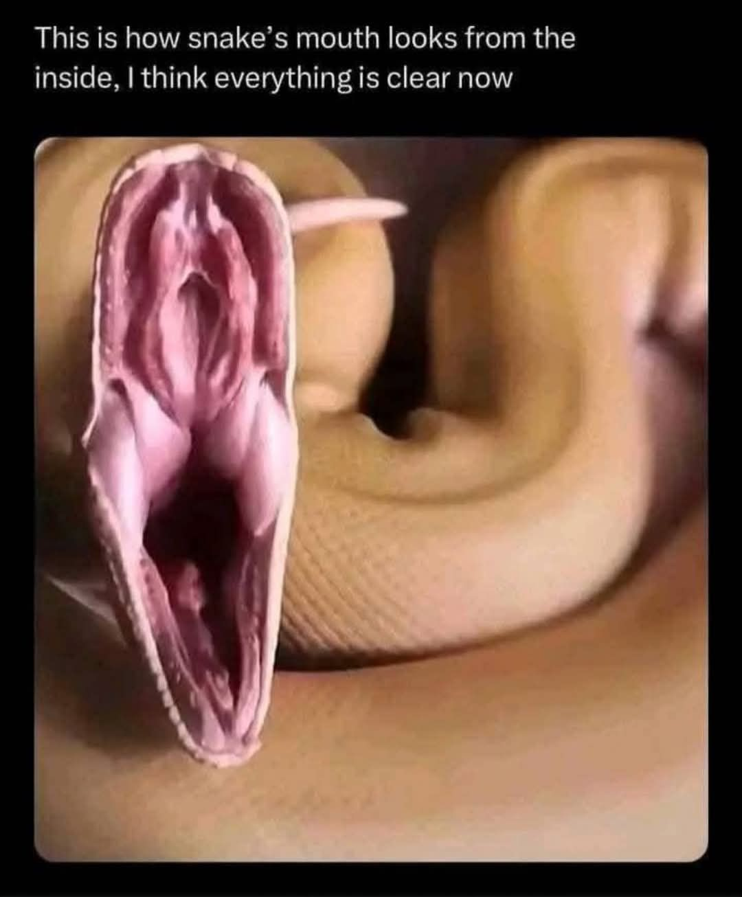 1743898243809.png
