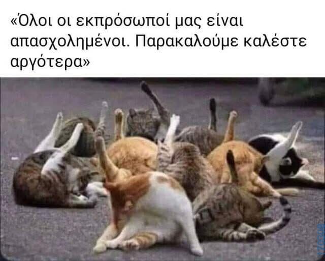 FB_IMG_1743923131105.jpg