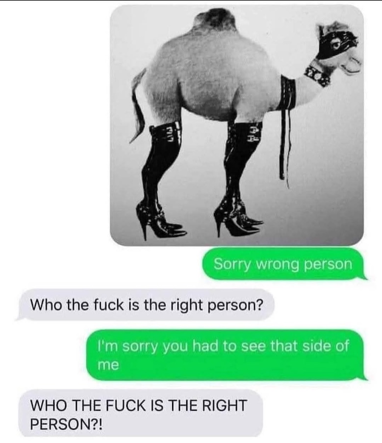 487507250_702140155805876_3578927361102573019_n.jpg