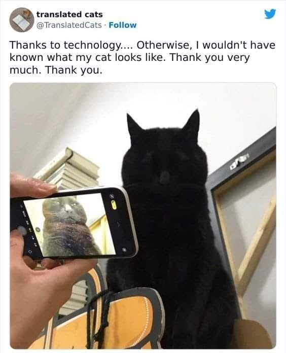1745274246226.png
